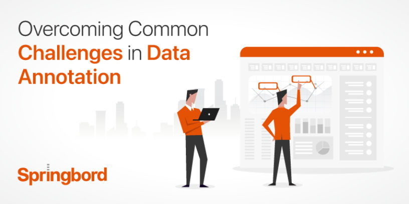 Overcoming Common Challenges in Data Annotation