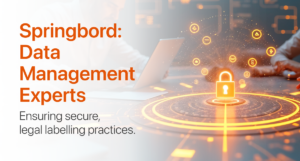 Springbord---Data-Management-Experts